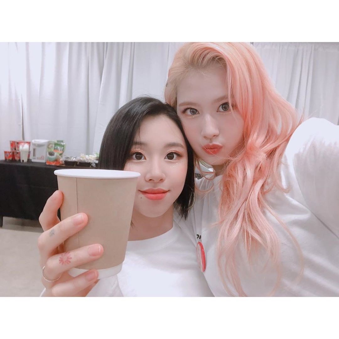 meIonsodas's tweet photo. happy international women’s day to her <3 one of the best people i know https://t.co/iTedk0X4WF