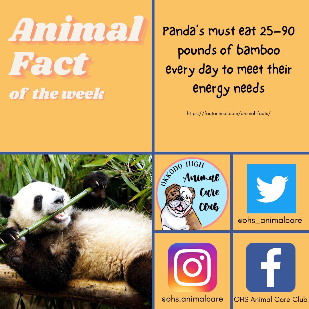 OHS ANIMAL CARE CLUB 🐶 (@ohs_animalcare) / Twitter OHS ANIMAL CARE CLUB 🐶 (@ohs_animalcare) / Twitter