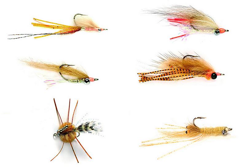 FFTCOUK's tweet photo. #fullingmill #fly_selection #bonefishing #flyfishing
FULLING MILL PREMIUM BONEFISH FLY SELECTION
12 of the top Bonefish patterns chosen by expert anglers. Ideal for those heading to sandy destinations to fish for Gray Ghosts.
Available HERE >>>https://t.co/Z66NuD8F9b https://t.co/qClDQsxG3L