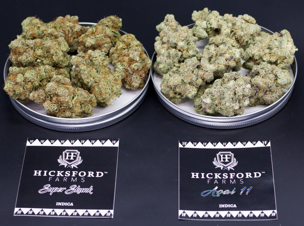 HicksfordFarms's tweet photo. Super Skunk and Acai 11 by Hicksford Farms. https://t.co/8l6py71Zhl