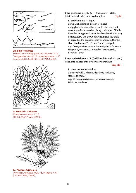 Bhl Australia Drum Roll Abrs Australian Biological Resources Study Has Joined Bhl Au The First Of Their Australian Flora And Fauna Series Is Now Freely Accessible On Biodivlibrary Plant Indumentum