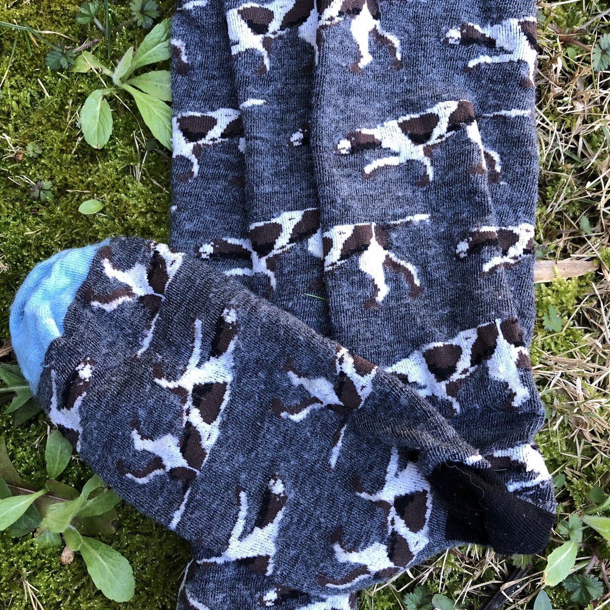 HuntingFeet's tweet photo. If you’re on the hunt for fresh socks, hunting feet socks dot com is the top dog.🌿 https://t.co/9yAcY4WTCY