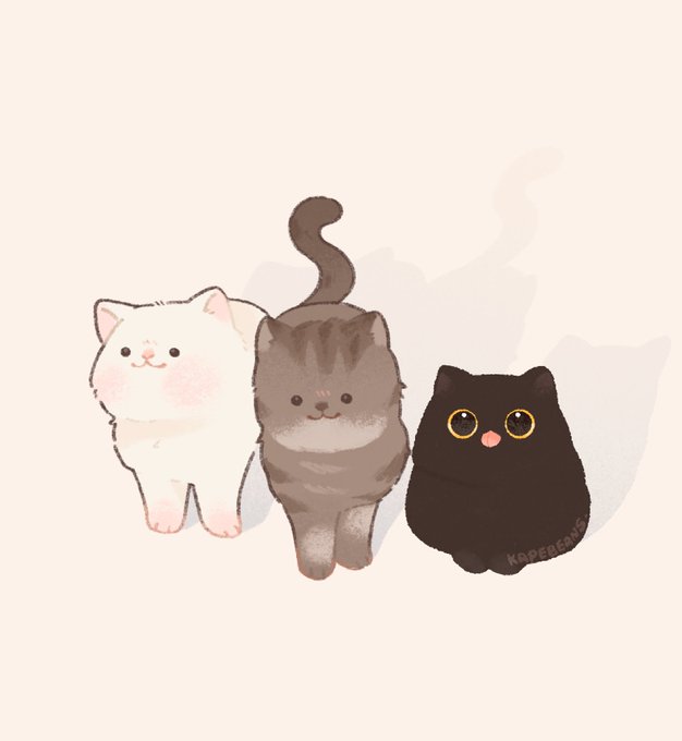 「動物 白い猫」のTwitter画像/イラスト(人気順)