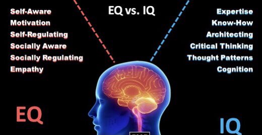 drrickneff's tweet image. “Athlete EQ” (Emotional Quotient) is a player’s ability to recognize, process, and exert control over emotions. EQ assists a player’s ability to prepare, persevere, focus, adjust, &amp;amp; perform in sport &amp;amp; life. EQ may be 2x as important in contributing to excellence than skill alone.