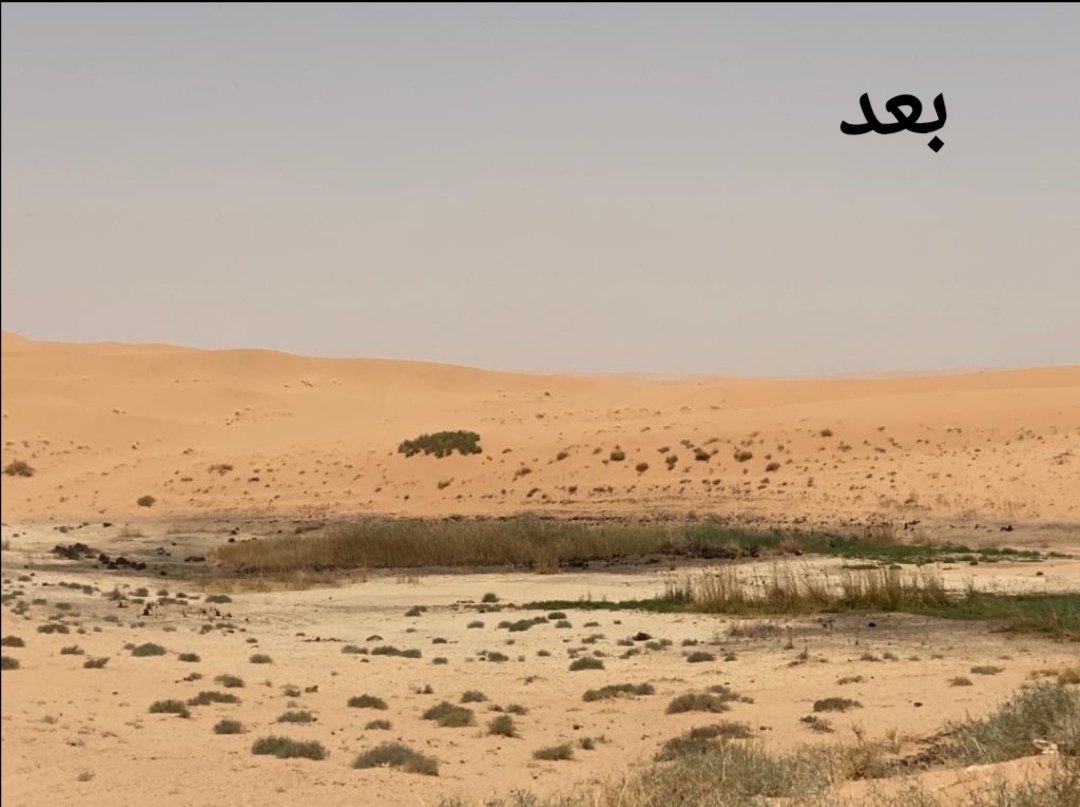 Alsoqeer's tweet image. #محافظة_المذنب نموذج مميز في التخلص الآمن من المياه المعالجة والاستفادة منها.
صور توضح جفاف بحيرة تجميع المياه المعالجة بعد تحويلها لري الأشجار
لدعم وتشجيع سمو #أمير_القصيم ومتابعة معالي الوزير @AlfadleyA دورٌ مهم في هذا الانجاز البيئي.
@EmarahAlQassim
@MEWA_KSA
@ncvcksa