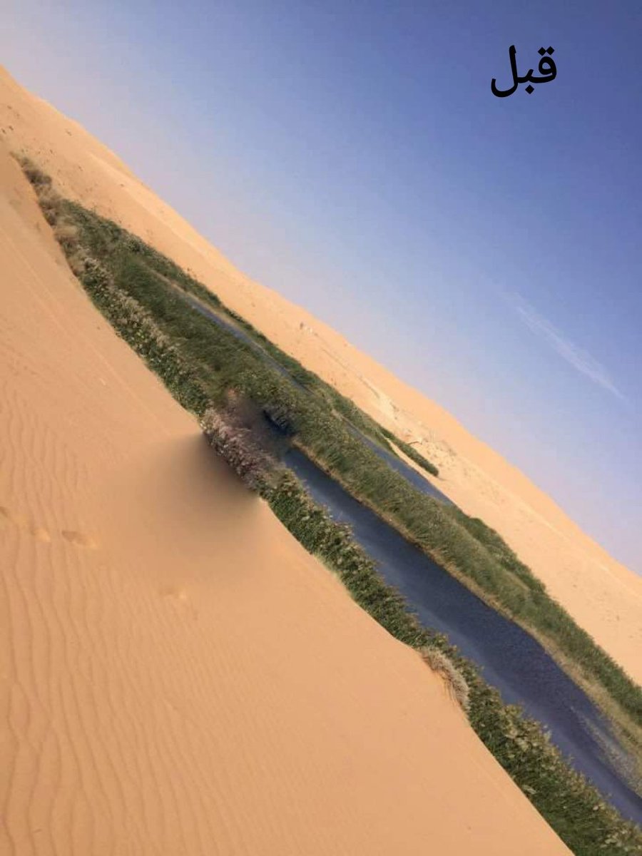 Alsoqeer's tweet image. #محافظة_المذنب نموذج مميز في التخلص الآمن من المياه المعالجة والاستفادة منها.
صور توضح جفاف بحيرة تجميع المياه المعالجة بعد تحويلها لري الأشجار
لدعم وتشجيع سمو #أمير_القصيم ومتابعة معالي الوزير @AlfadleyA دورٌ مهم في هذا الانجاز البيئي.
@EmarahAlQassim
@MEWA_KSA
@ncvcksa