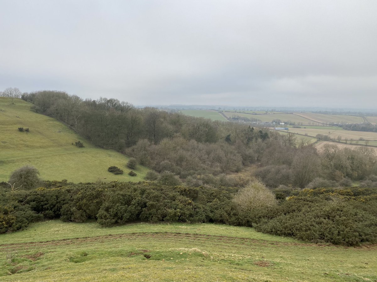 Burrough Hill tweet media