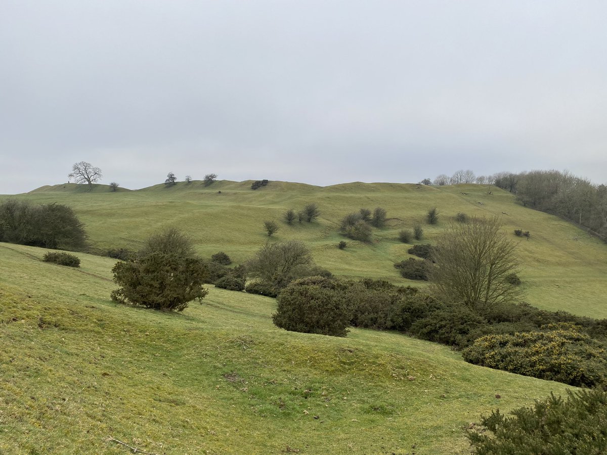 Burrough Hill tweet media