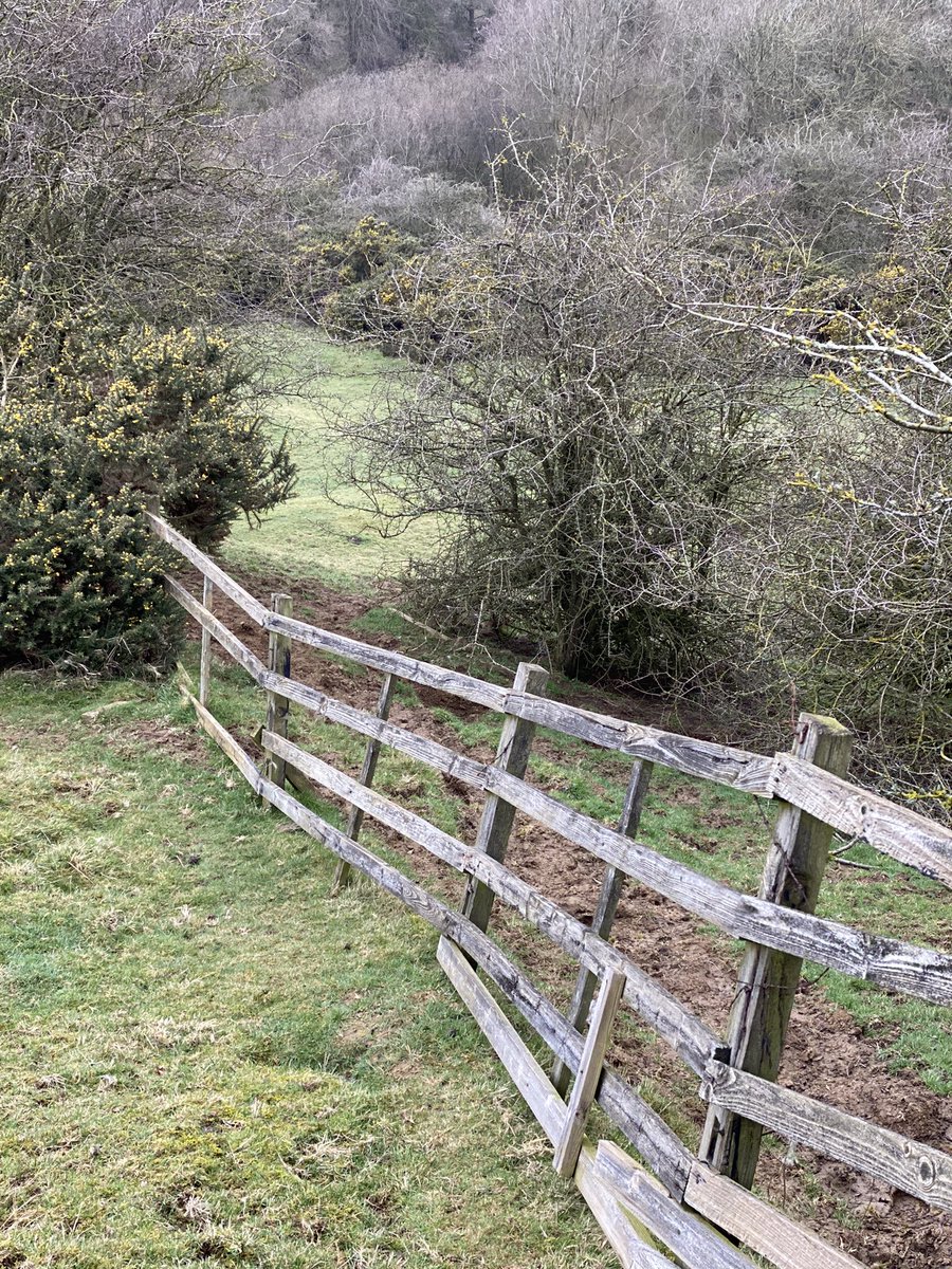 Burrough Hill tweet media