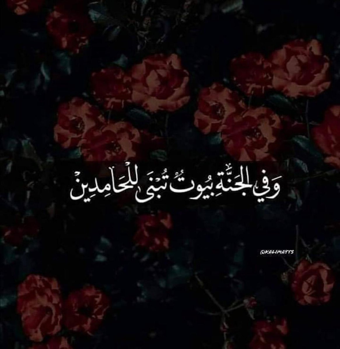 الحمدلله حتى يبلغ الحمد منتهاه ❤