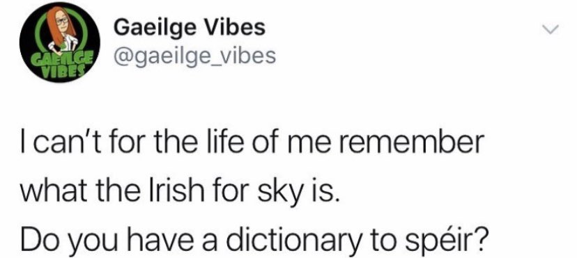 gaeilgekcs's tweet photo. Meme an lae ó @gaeilge_vibes #SeachtainNaGaeilge https://t.co/FH52f1uaUw