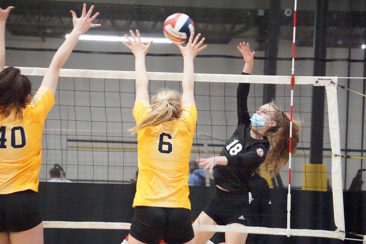 Chris Fitzgerald tweet media