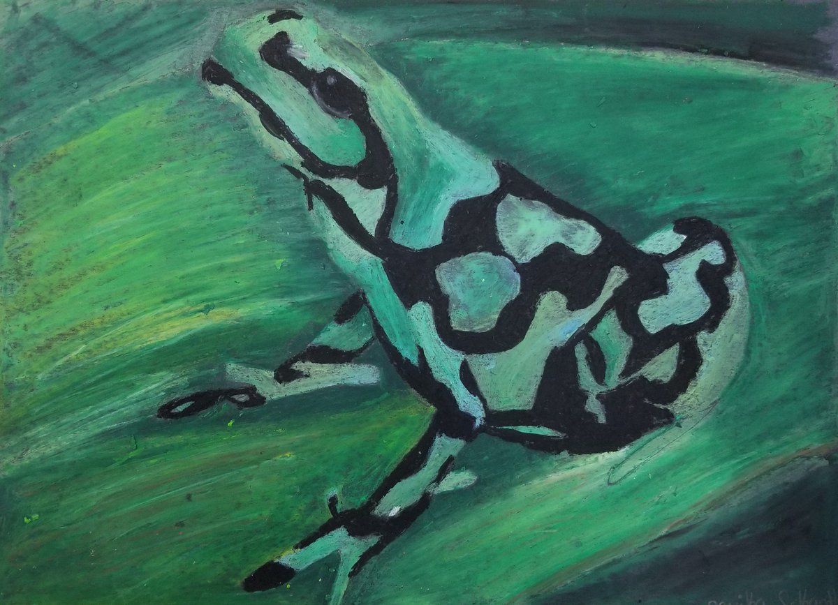msbeamart's tweet photo. A few of our 6th grade Endangered Species oil pastels! https://t.co/zbhLsFiQPG