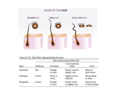 Okay so there are some loosely recognised types. At the Institute of Trichologists we learn about 3 types used by anthropologists and biologists:Negroid, Caucasoid & Mongoloid (I know)