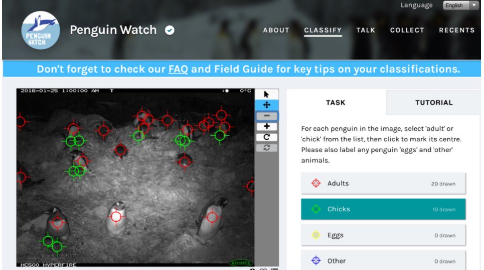 Tormead Adventure & Service tweet media