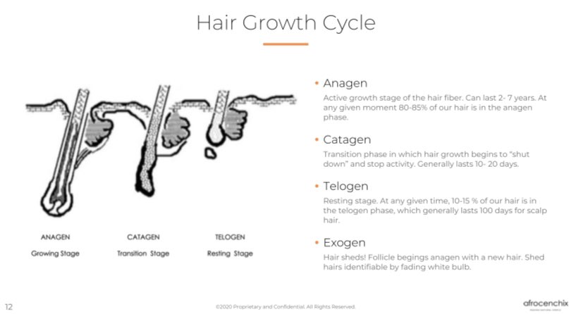 Genetics vary. If your anagen phase lasts 7 years then you can grow 42 inches of hair. If it lasts 2 years then you can grow 12 inches of hair. Even after 7 years, the hair will just stop growing around 12 inches of length and get ready to drop out (still past shoulder length)