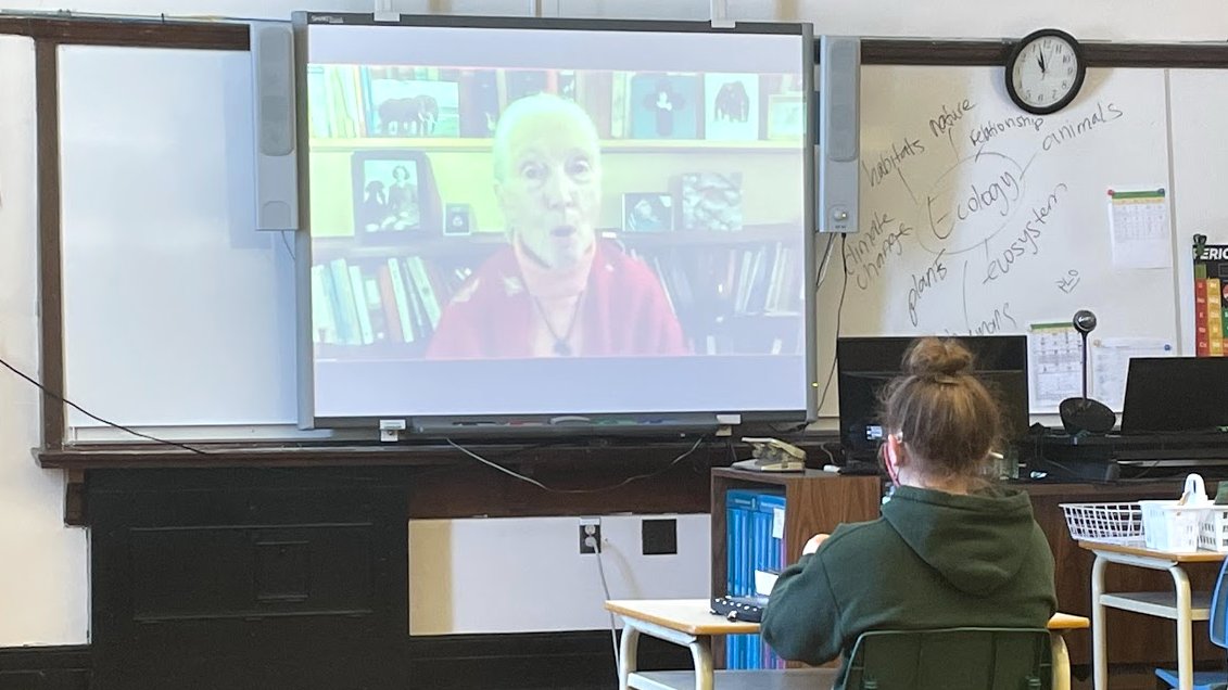 AlbertCollege's tweet photo. The Grade 9 science classes at @AlbertCollege attended a live webinar with Dr. Jane Goodall through the Donald Lecture Series at @UBishops. Students engaged with Dr. Goodallβs inspiring and captivating stories and her work as an activist. #TheACDifference https://t.co/8HjNgdTflf