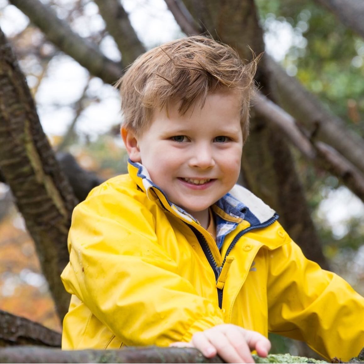 Harry’s Giant Pledge tweet media