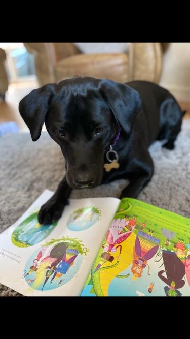 ACSEnglishDept's tweet photo. Mrs Riley’s dog is enjoying so light fairytale reading before bed https://t.co/mZefP7S0DY