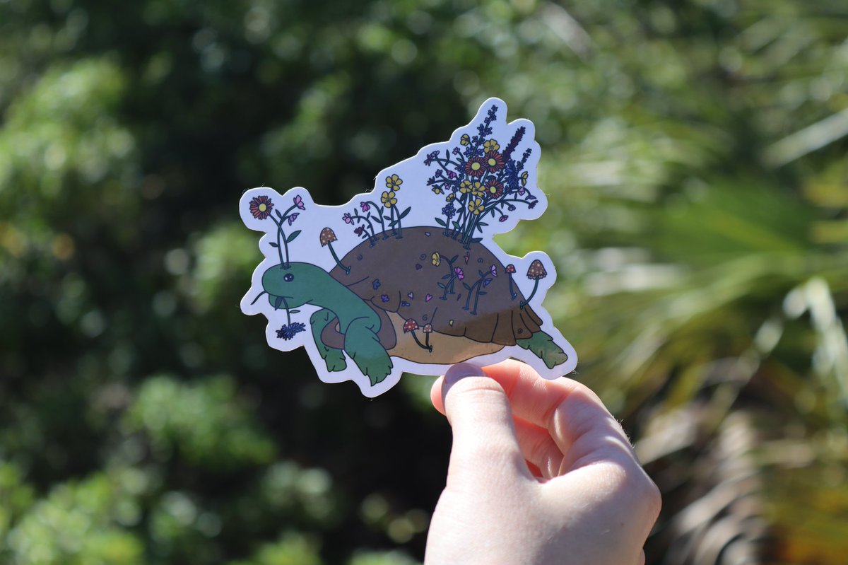 RoselynnDesigns's tweet photo. 🌸🐢 https://t.co/jmN9qSDG5I