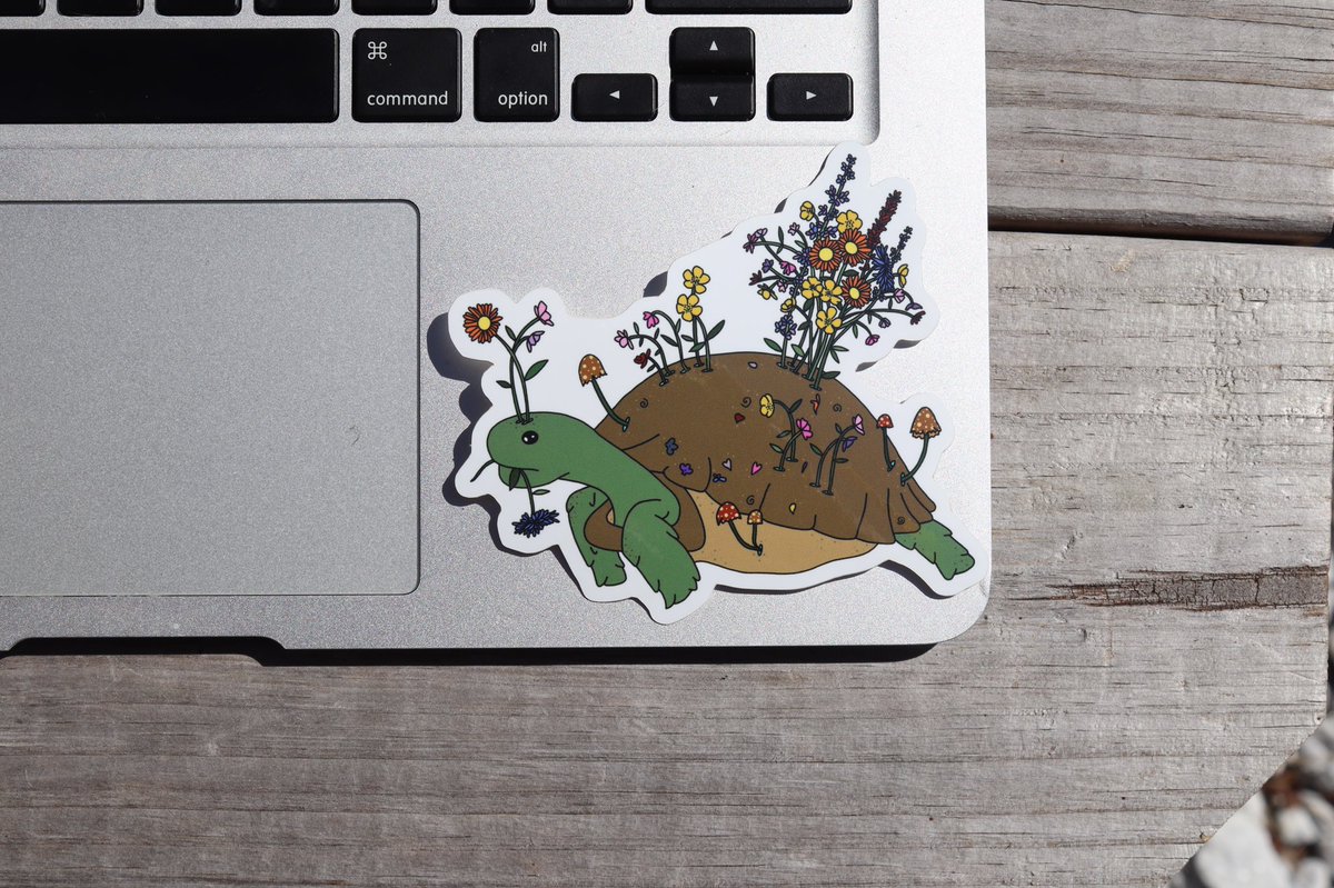 RoselynnDesigns's tweet photo. 🌸🐢 https://t.co/jmN9qSDG5I