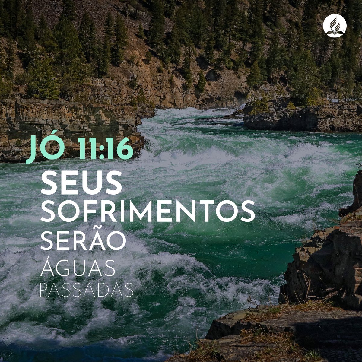 advsuldeminas's tweet photo. Entregue seus problemas na mão dAquele que tudo pode resolver... 🌊
#sábado #felizsábado #saturday #sofrimentos #entrega #bomdia #adventistas #zonadamata #mg #minasgerais #adventistasmg #suldeminas https://t.co/1iZwtMTn6K