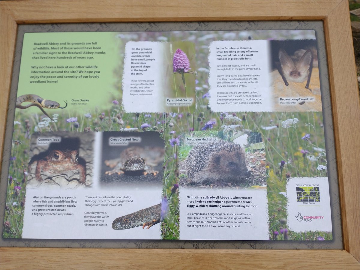 If you've walked in the grounds recently, you may have noticed our signs requesting dogs are kept on leads. This is especially important at the moment as its breeding season for lots of the wildlife on site. Many thanks for your continued cooperation 🙏. #spring #wildlife