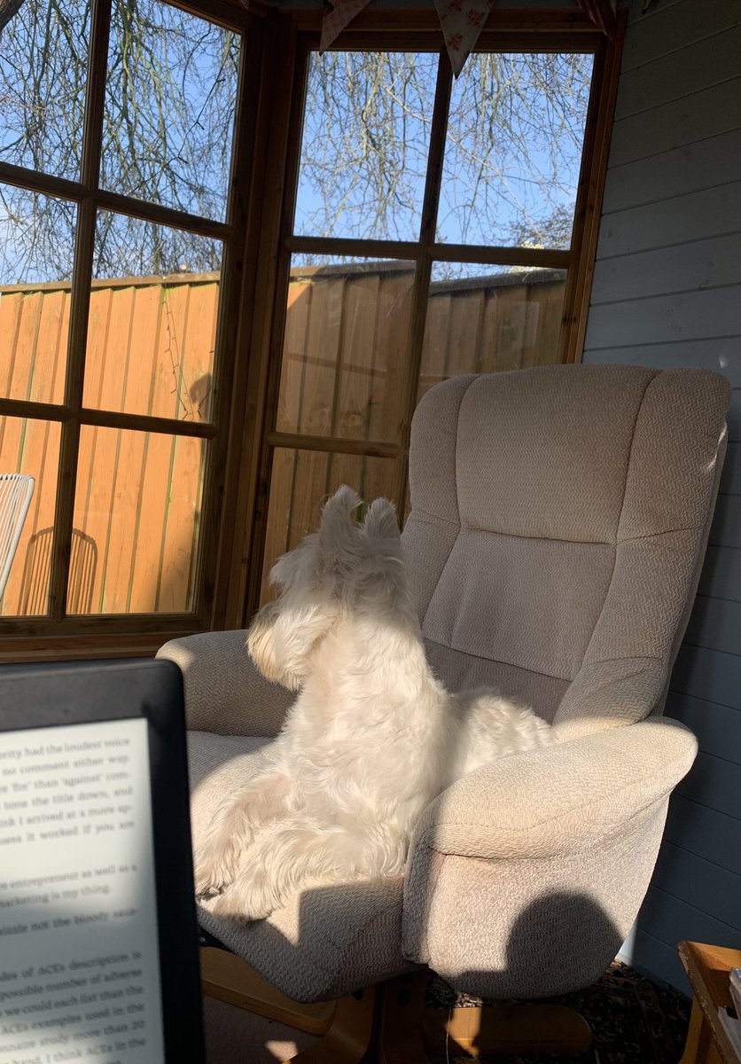 Thankful I got to spend 15 minutes of my lunch break reading in the garden with the sun worshipper ☀️🐶 perks of EPS placement from home #ADayInTheLifeOfA_TEP #TwitterTEPS