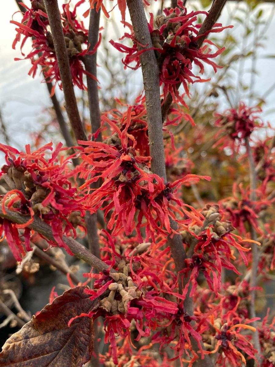 BuildUnity's tweet image. Unity's March 2021 Newsletter conta.cc/3r9Be1L