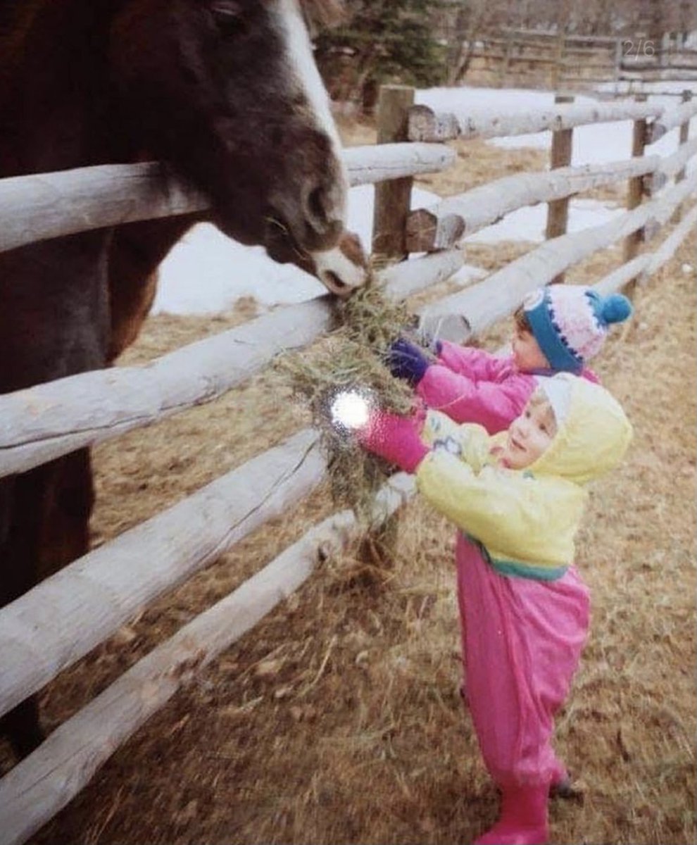 TravelAlberta's tweet photo. Albertan @brookewillson grew up near @Heritage_Ranch &amp; often walked over with her family &amp; a bag of carrots to feed the horses. But she hadn't taken the time to visit the horses in years, until now! Read Brooke's full story here: https://t.co/eB7ryV3qnN

#AlbertaNice #CanadaNice https://t.co/o1t89K5eZx