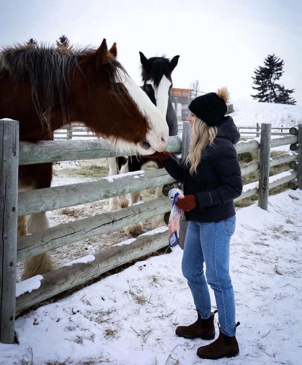 TravelAlberta's tweet photo. Albertan @brookewillson grew up near @Heritage_Ranch &amp; often walked over with her family &amp; a bag of carrots to feed the horses. But she hadn't taken the time to visit the horses in years, until now! Read Brooke's full story here: https://t.co/eB7ryV3qnN

#AlbertaNice #CanadaNice https://t.co/o1t89K5eZx