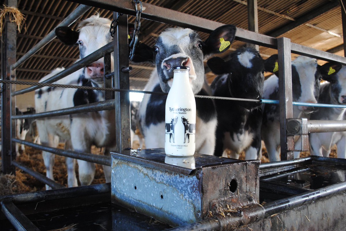 TytheringtonMS's tweet photo. Superb to see @BBCTheOneShow highlighting the growing opportunity of purchasing milk from your local dairy farmer via vending machines!
We love our vending machines and our wonderful customers too.
#SupportLocal #ProperMilk https://t.co/85MQtSGSwP