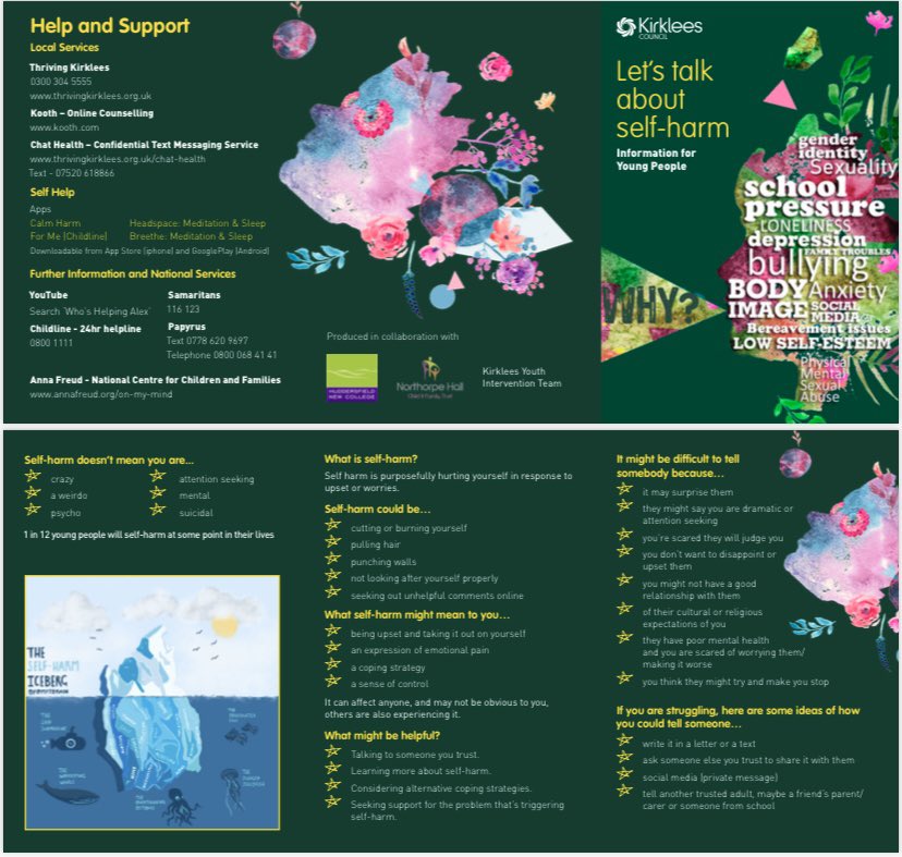Did you know that around 1 in 12 young people in the UK will self-harm at some point?
 
Self-harm can be a very secretive behaviour and something that people can find very difficult to talk about. Through the campaign #LetsTalkAboutSelfHarm we want to raise awareness ‼️‼️‼️