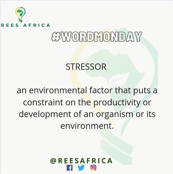 reesafrica's tweet photo. A great week to know one of the stressors we have around us.
You can List at least one in the comment section.
#learning #reesquotes #reeafrica
#mondaythoughts https://t.co/4yRsEO1nqS