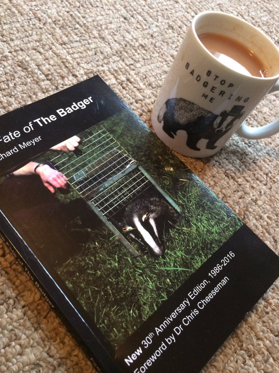 Amelea Teckel (@ameleateckel) on Twitter photo #MondayMotivation 📚 Calderdale Badgers have some handcrafted badger bookmarks all ready for #WorldBookDay on March 4th! 💕
Just perfect to pop into your copy of 'The <a href="/FateofTheBadger/">TheFateofTheBadger</a>' - see the author chatting & order your copy here:
fire-raven.co.uk
#badgermonday 🦡 #MondayMotivation 📚 Calderdale Badgers have some handcrafted badger bookmarks all ready for #WorldBookDay on March 4th! 💕
Just perfect to pop into your copy of 'The <a href="/FateofTheBadger/">TheFateofTheBadger</a>' - see the author chatting & order your copy here:
fire-raven.co.uk
#badgermonday 🦡