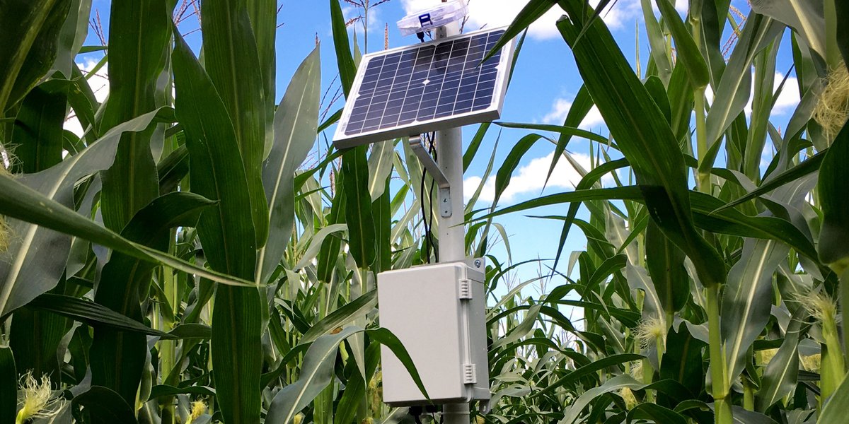 MSU_BAE's tweet photo. BAE specialist Younsuk Dong is leading a three-year, $426,000 @USDA_NRCS project to increase adoption of a low-cost irrigation sensor monitoring system among farmers in Michigan and Indiana.  https://t.co/lg9O79tCDQ https://t.co/LUH4vRt15X