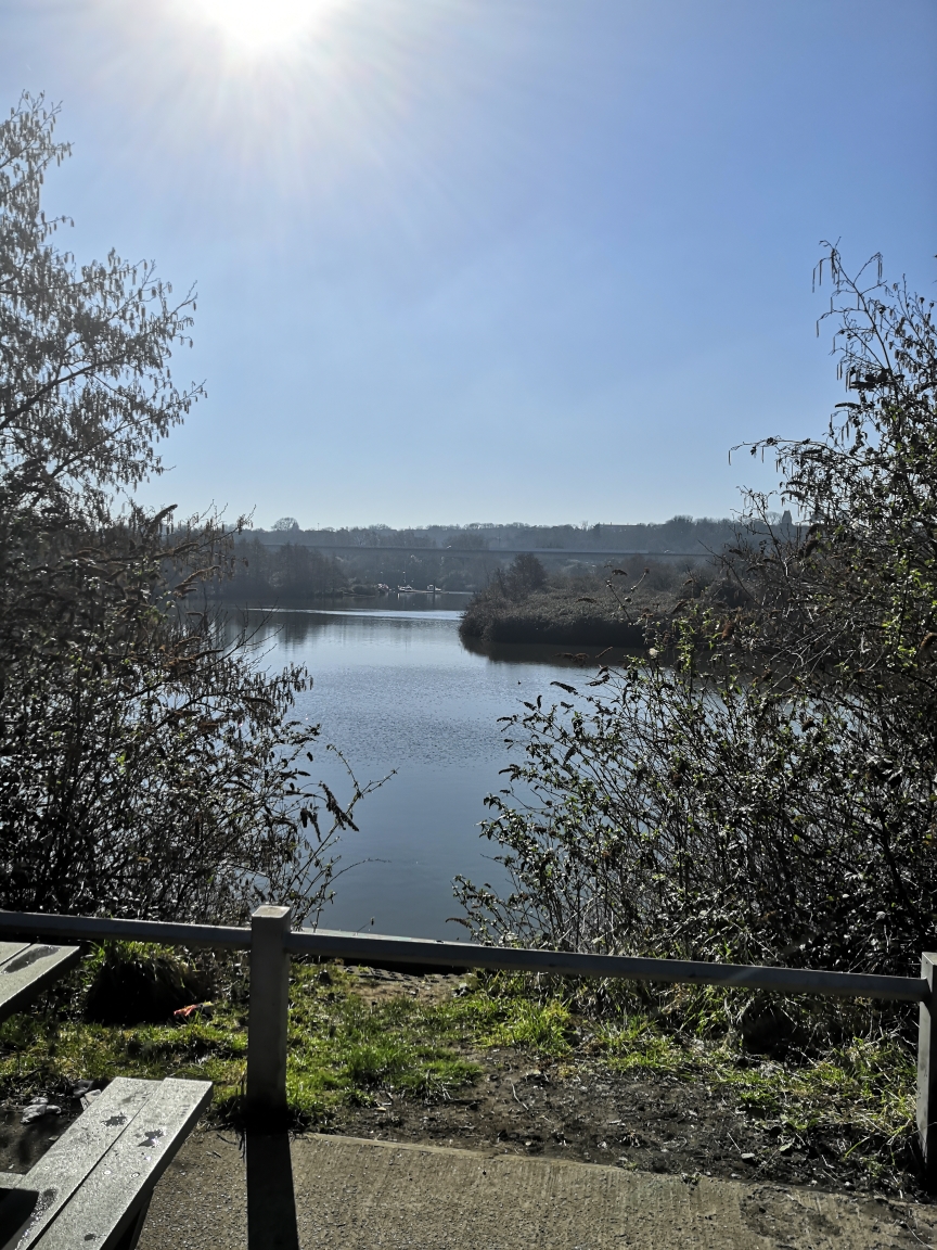 Happy St David's Day or as we say in Welsh "Dydd Gŵyl Dewi Hapus"! To celebrate Wales' national day, here's some pictures of Cardiff Bay in the Spring sunshine taken this weekend!

#stdavidsday #wales #cardiff #CardiffBay