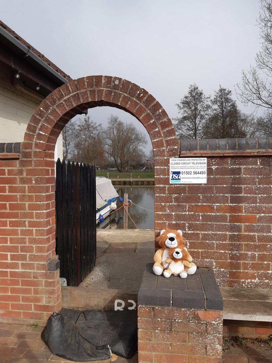 Emily Aldred tweet media