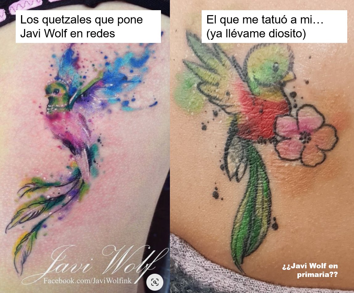 La_RiversRJ's tweet photo. Acompáñenme a leer esta triste historia de cuando quise tatuarme un quetzal en acuarela y terminé con un canario maya en la espalda, cortesía de @JaviWolfink #javiwolf 
(Abro hilo) https://t.co/W2gN5YvQCy