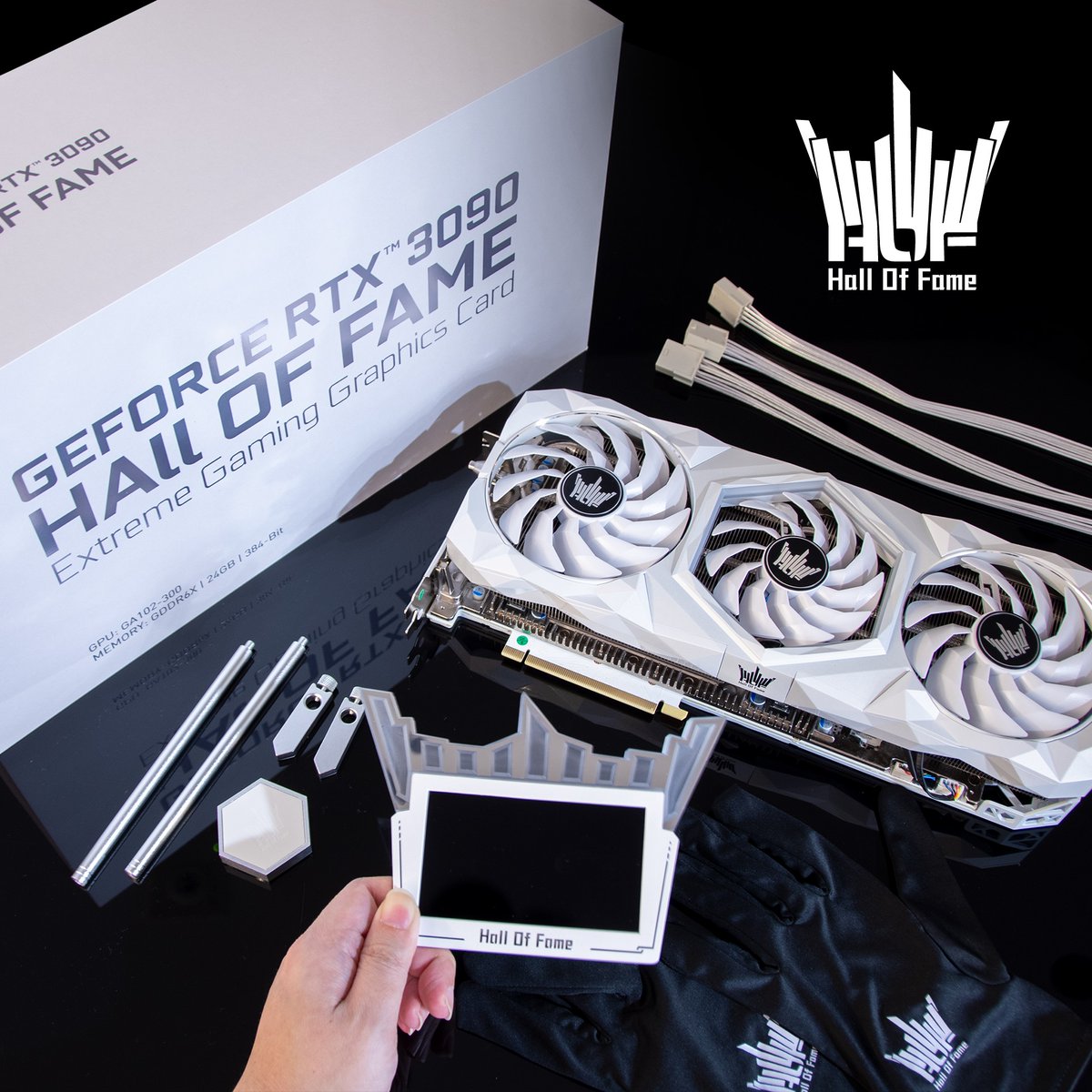 galaxyus's tweet photo. The HOF unboxing. Say hello to the King!
#galax #galaxgaming #worktheframes #hof #halloffame #rtx #overclock #gamer #gaming #pc #videogames #computer #graphicscard #rgb #vibrant #instagood #esports https://t.co/mdULm6mNUH