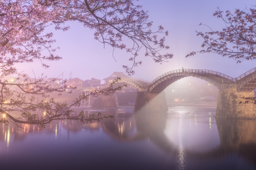 ramblingsloa's tweet photo. Love is the bridge between you and everything.

Rumi
📸 Daniel Kordan https://t.co/68DglpNPWa