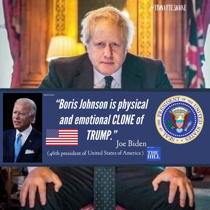 Septimus tweet media