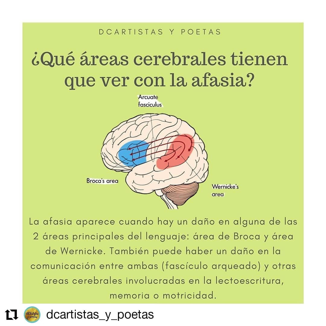 Dcartistas's tweet photo. #afasia #dca #dañocerebraladquirido #ictus https://t.co/MEI5dN0TiK