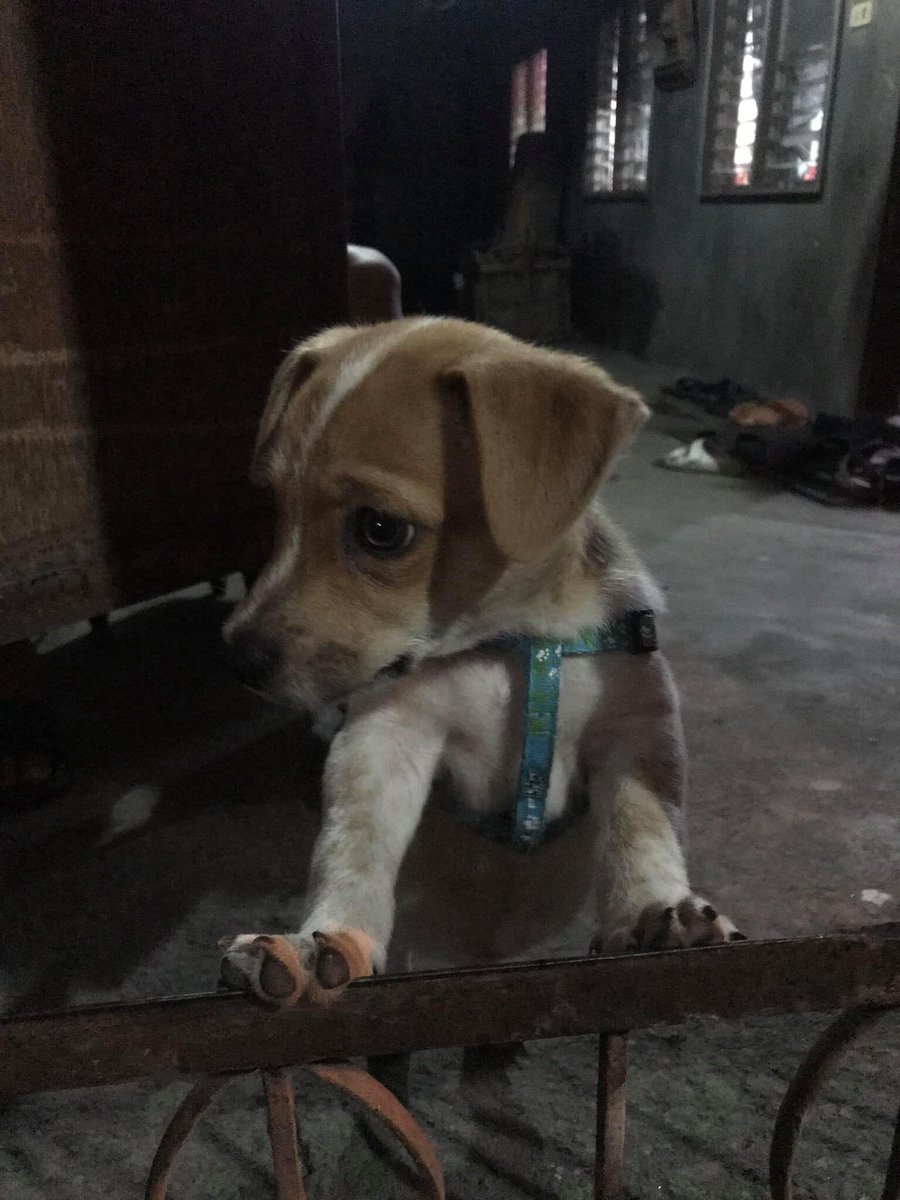 MsMarjourie's tweet photo. Mamiss kita milo 🥺😭 https://t.co/shuFPDo9w9