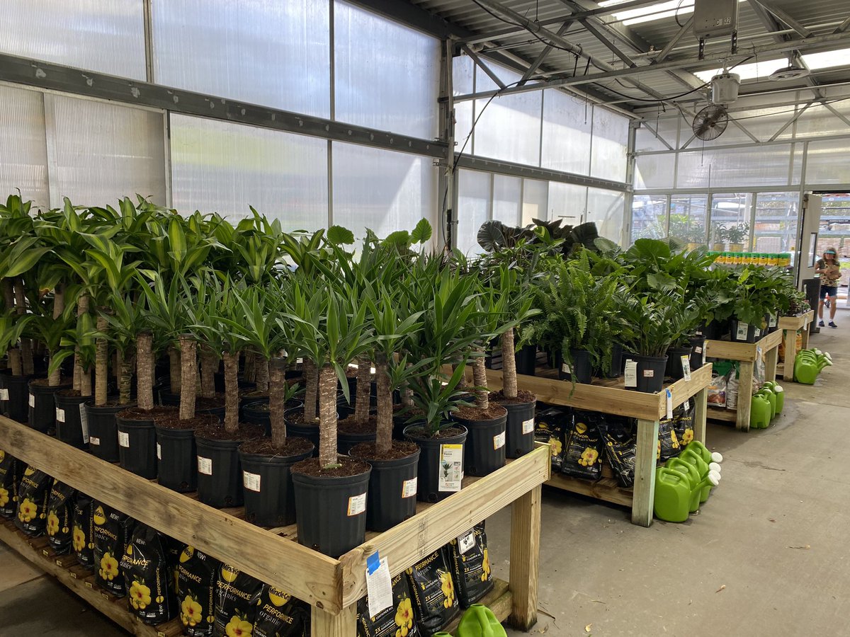 GregWilley4's tweet photo. 8351 Home Depot Palatka Florida The Gardenvision team hard at work keeping the store looking awesome. https://t.co/5C2jv7XhB0