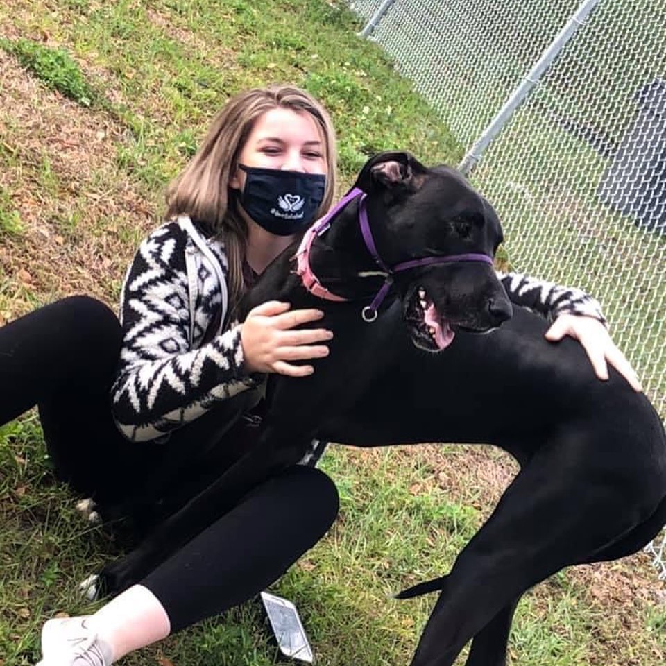 PolkSchoolsNews's tweet photo. They say every dog has its day, and at Tenoroc High it was specifically last Monday. That was when the school was able to finally launch its doggy day care program — much to the delight of students, staff and dogs. Story: https://t.co/YppUK8txCN 🐕 https://t.co/UdmzHni37Y