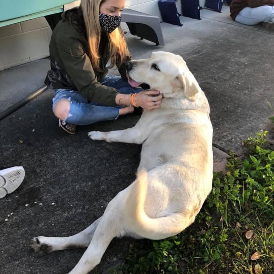 PolkSchoolsNews's tweet photo. They say every dog has its day, and at Tenoroc High it was specifically last Monday. That was when the school was able to finally launch its doggy day care program — much to the delight of students, staff and dogs. Story: https://t.co/YppUK8txCN 🐕 https://t.co/UdmzHni37Y