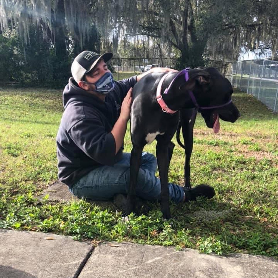 PolkSchoolsNews's tweet photo. They say every dog has its day, and at Tenoroc High it was specifically last Monday. That was when the school was able to finally launch its doggy day care program — much to the delight of students, staff and dogs. Story: https://t.co/YppUK8txCN 🐕 https://t.co/UdmzHni37Y