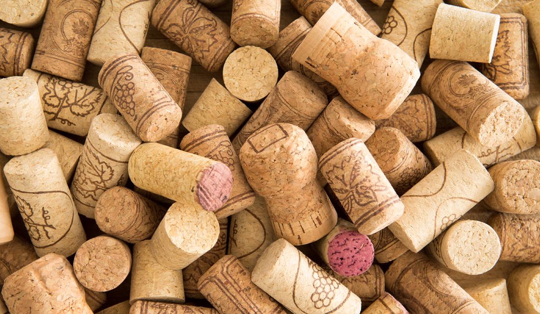 PipersSixthForm's tweet image. @corkifyuk are looking for donations of corks for their Easter products. Next week there will be a boxes in the Lady Bucks Foyer and outside the main School Reception doors for donations #PiperSixthForm #PipersYoungEnterprise