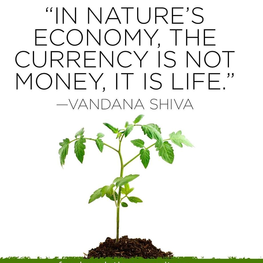 ketan83's tweet photo. #ForNature 🌱💚

@drvandanashiva 🙏 https://t.co/6sndySWUVI
